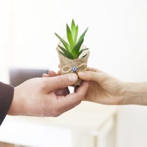 Future of Digital Marketing in India